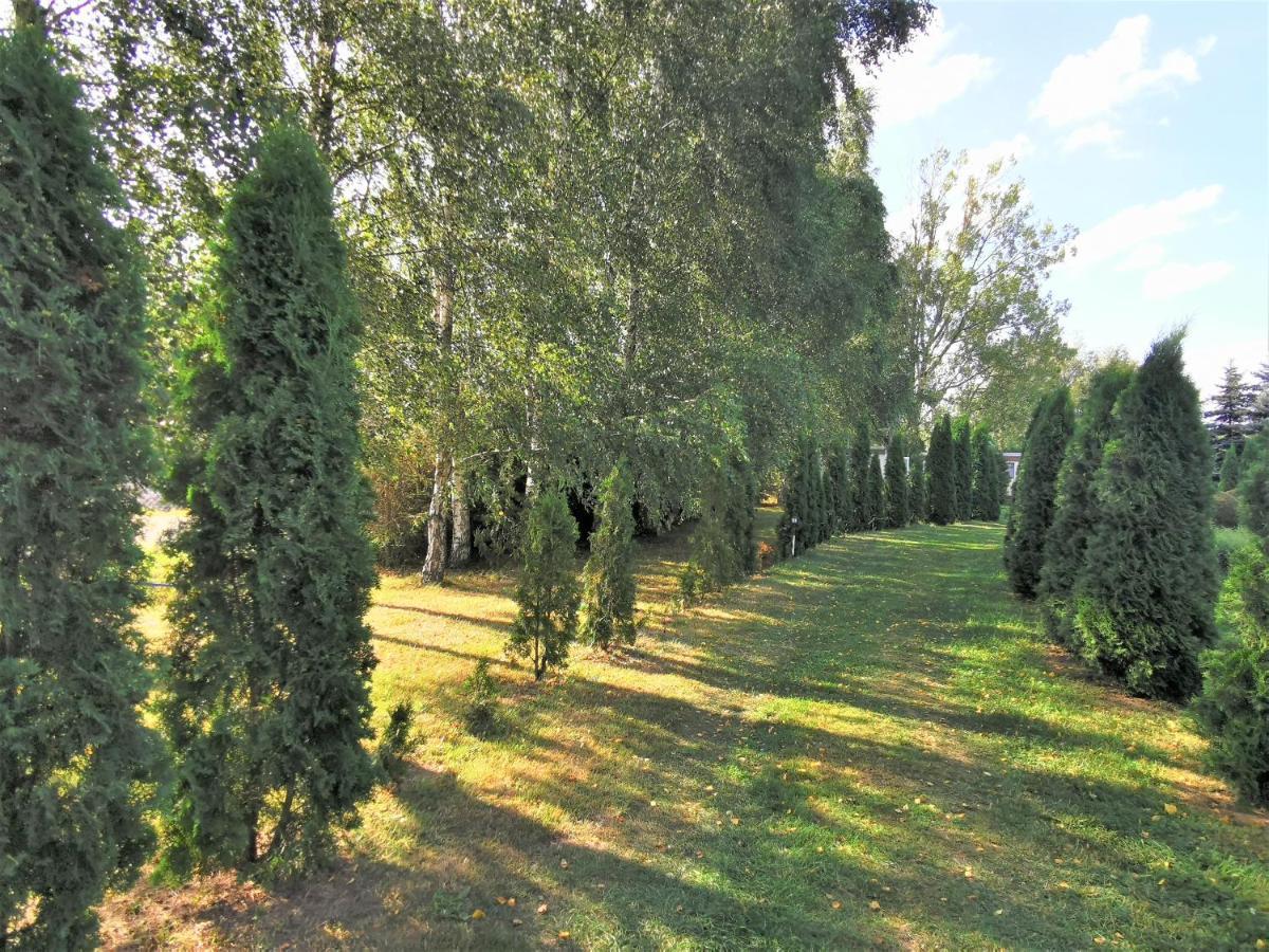 Villa Brzozowe Zacisze Łagów Exterior foto